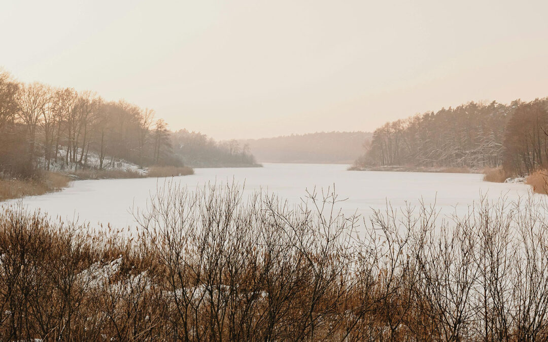 Winter 2026 President’s Corner